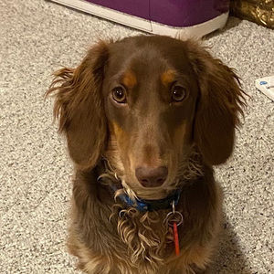 Meet your Posher, Luke